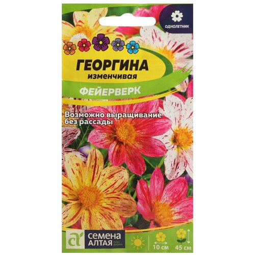 Семена Семена Алтая Георгина изменчивая Фейерверк фото