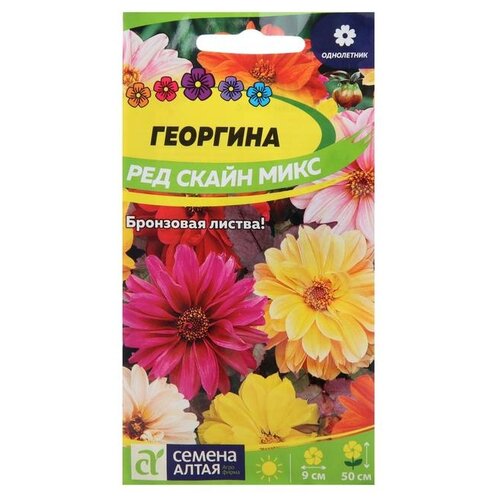 Семена Семена Алтая Георгина Ред Скайн Микс