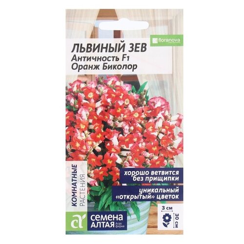 Семена Семена Алтая Львиный зев Античность оранж биколор 10 шт фото