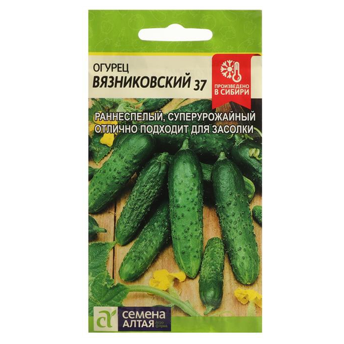 Семена Семена Алтая Огурец Вязниковский 37