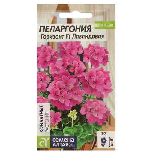 Семена Семена Алтая Пеларгония Горизонт Лавандовая