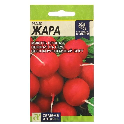 Семена Семена Алтая Редис Жара 2 г фото