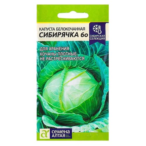 Семена Семена Алтая Сибирская селекция Капуста белокочанная Сибирячка 60