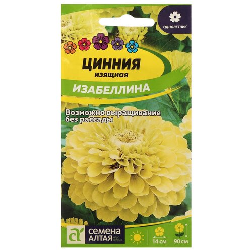 Семена Семена Алтая цветы Цинния Изабеллина изящная 0