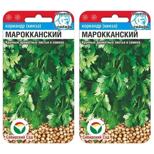 Семена Сибирский сад Кориандр Марокканский