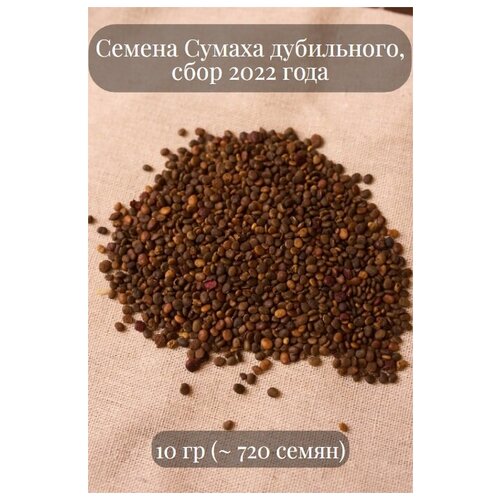 Семена Сумаха дубильного
