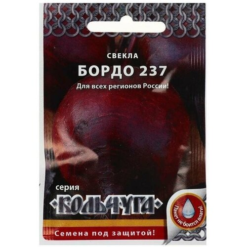 Семена Свекла 'Бордо 237'