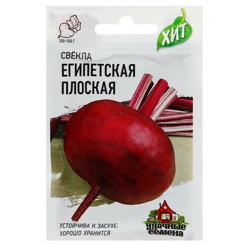 Семена Свекла "Египетская" плоская