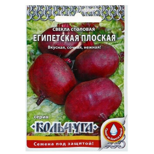 Семена Свекла "Египетская плоская" серия Кольчуга