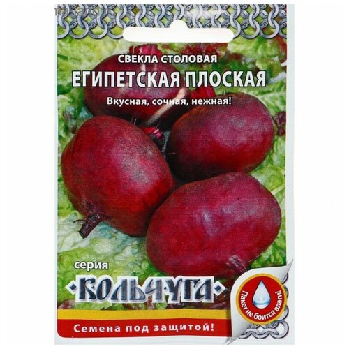 Семена Свекла 'Египетская плоская' серия Кольчуга