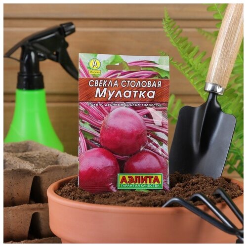 Семена Свекла "Мулатка" столовая "Лидер"