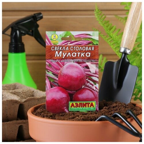 Семена Свекла "Мулатка" столовая "Лидер"