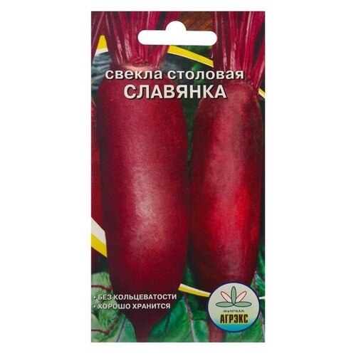 Семена Свекла "Славянка "