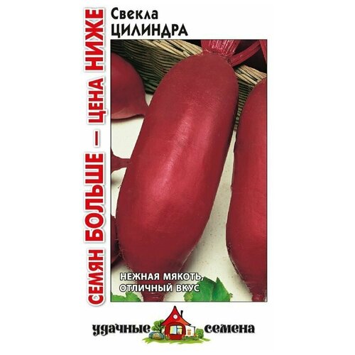 Семена Свекла Цилиндра