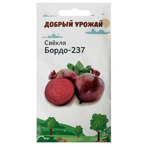 Семена Свёкла Бордо 0