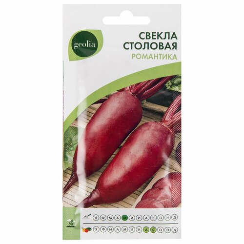 Семена Свёкла Geolia "Романтика" фото