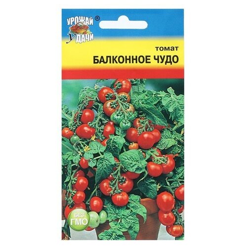 Семена Томат "Балконное чудо"