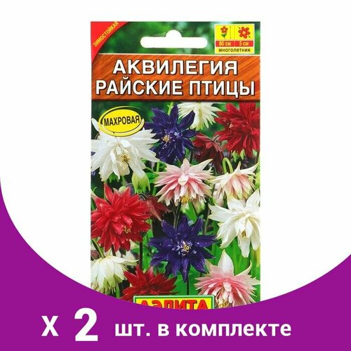 Семена цветов Аквилегия 'Райские птицы'