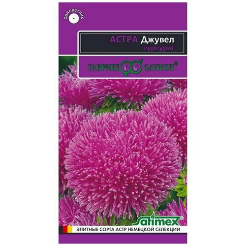 Семена цветов Астра однолетняя (игольчато-коготковая) "Джувел Пурпурит"