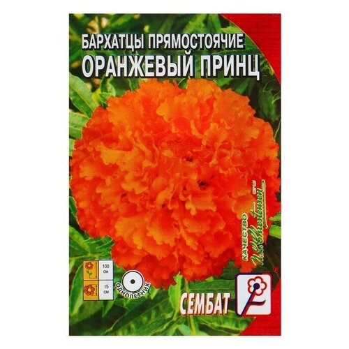 Семена цветов Бархатцы прямостоячие "Оранжевый принц"