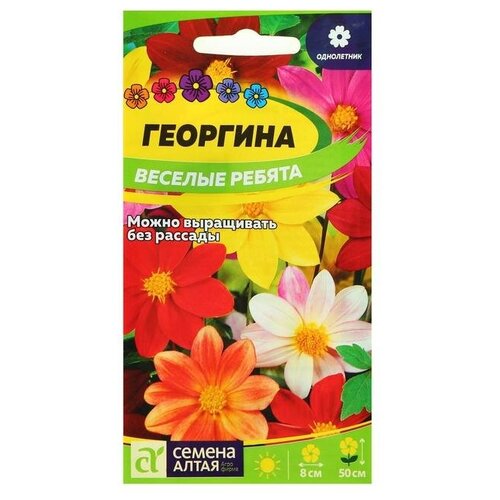 Семена цветов Георгина "Веселые Ребята"