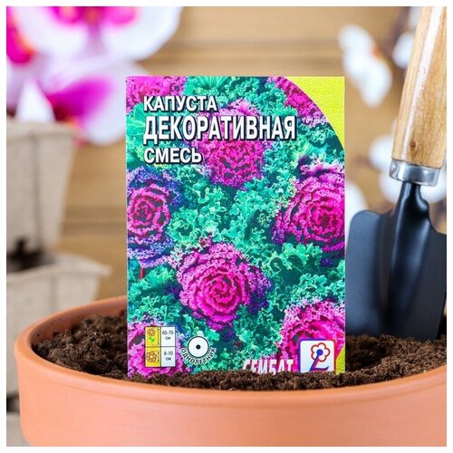 Семена цветов Капуста Декоративная
