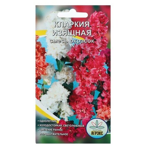 Семена цветов Кларкия "Агрэкс" изящная смесь окрасок