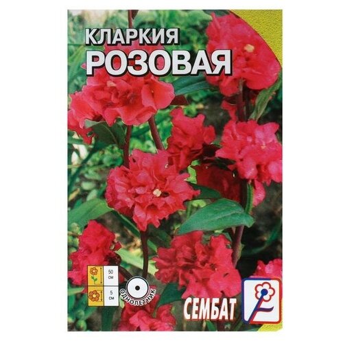 Семена цветов Кларкия "Сембат"
