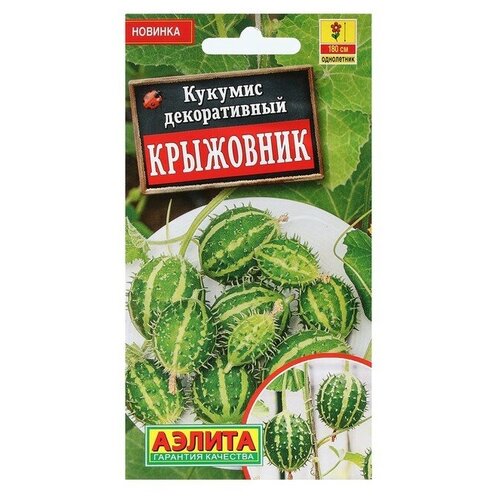 Семена Цветов Кукумис декоративный "Крыжовник"