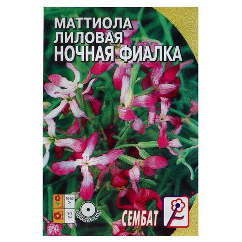 Семена цветов Маттиола Лиловая (ночая фиалка)