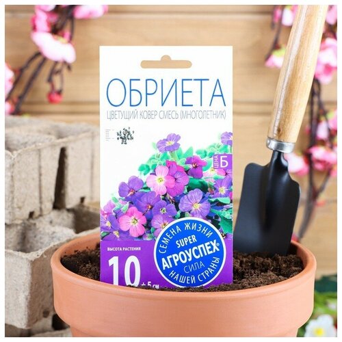 Семена цветов Обриета "Цветущий ковер"