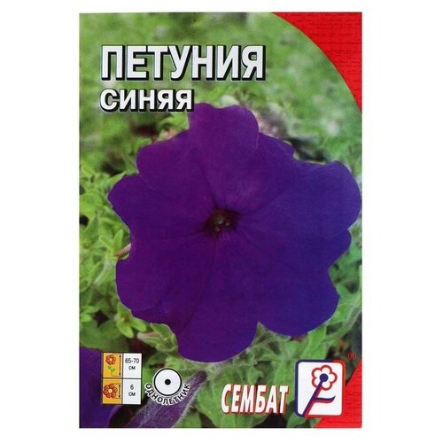 Семена цветов Петуния Синяя 0