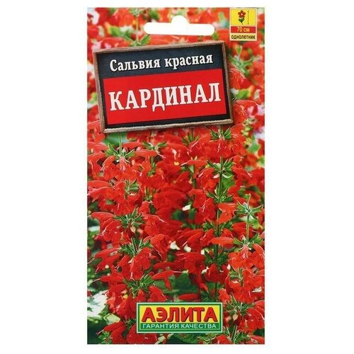 Семена цветов Сальвия "Кардинал"