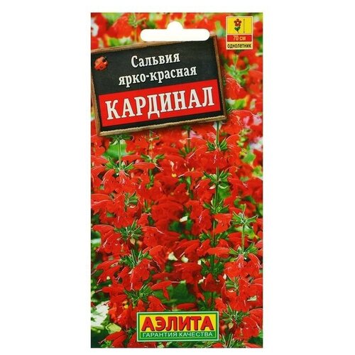 Семена цветов Сальвия "Кардинал"