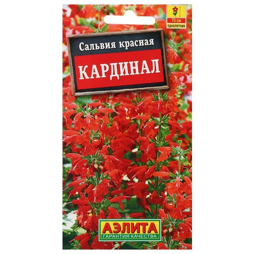 Семена цветов Сальвия "Кардинал"