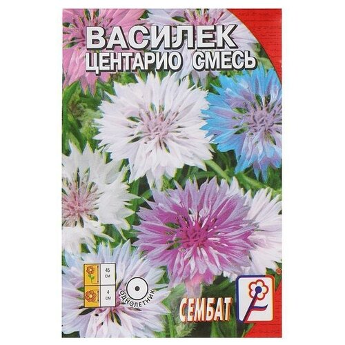 Семена цветов Василек 'Центарио'