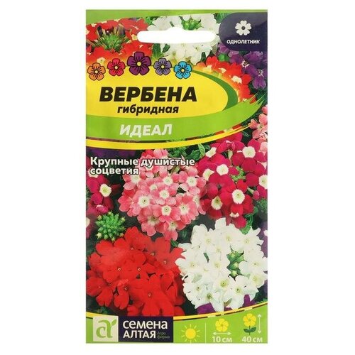 Семена цветов Вербена "Идеал"