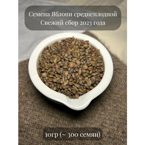 Семена Яблони полукультурной среднеплодной