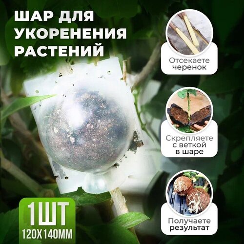 Шар для укоренения растений