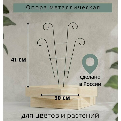 Шпалера для цветов и растений металлическая фото